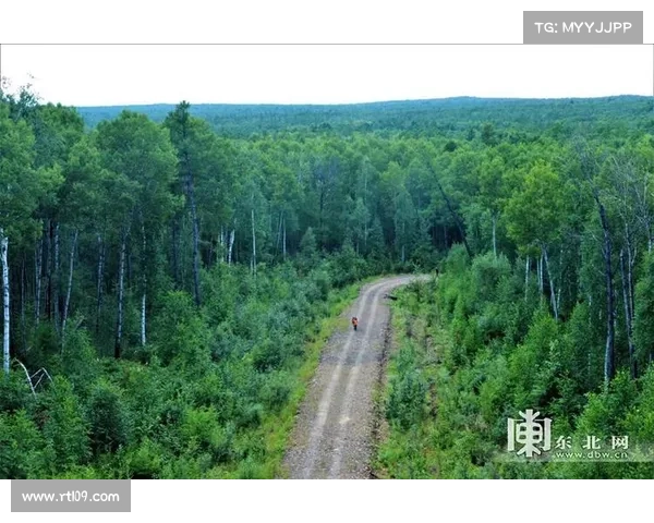 俄罗斯选手德米特里称赞塔河原始森林赛道为一生难忘的挑战与体验